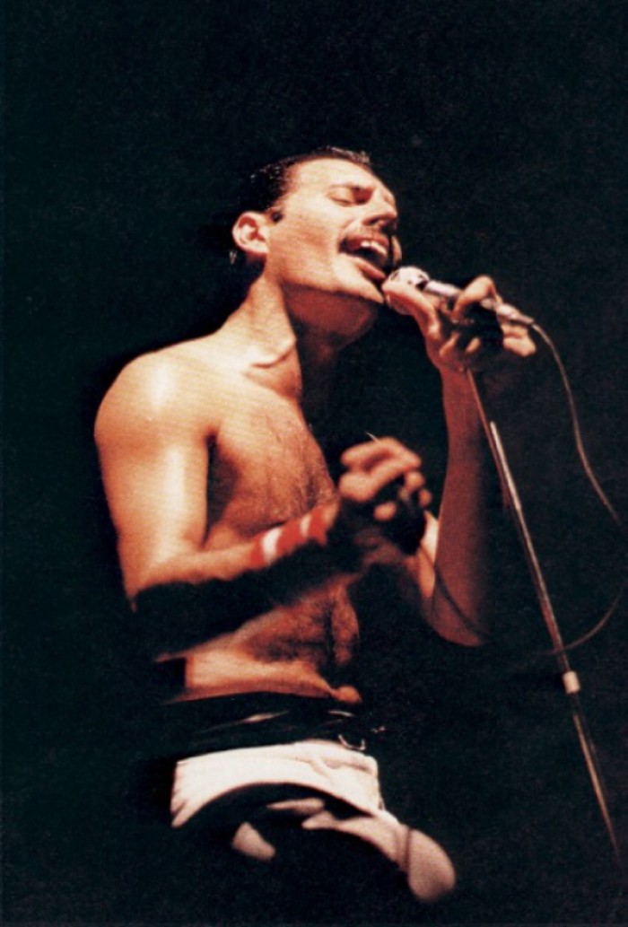 freddie17.jpg