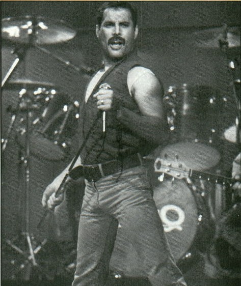 freddie7.jpg